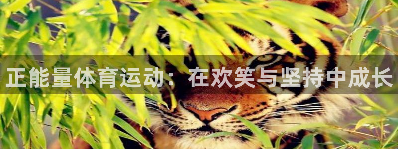 678体育知识