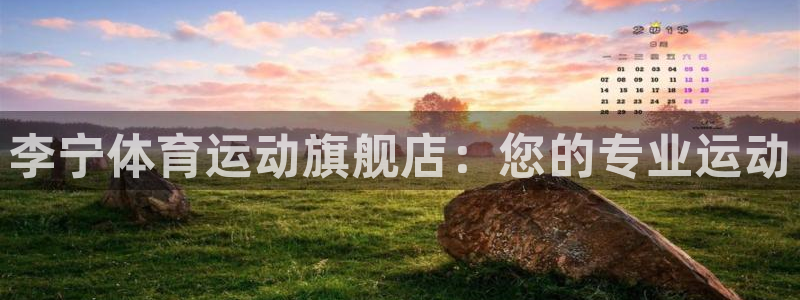 678体育官网下载