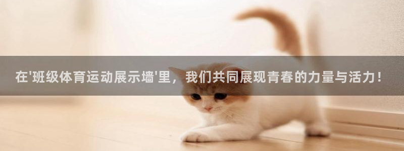 678体育app：在\'班级体育运动展示墙\'里，我们共同展现青春的力量与活力！