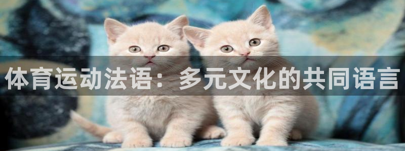 皇冠678体育：体育运动法语：多元文化的共同语言
