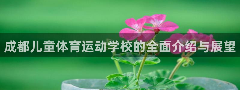678体育官网地址