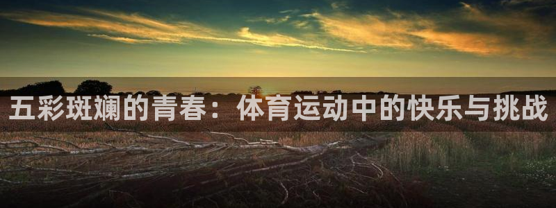 皇冠678体育：五彩斑斓的青春：体育运动中的快乐与挑战