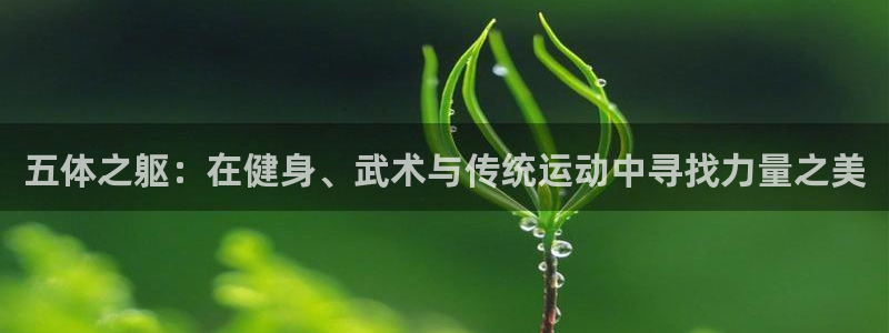 皇冠678体育：五体之躯：在健身、武术与传统运动中寻找力量之美
