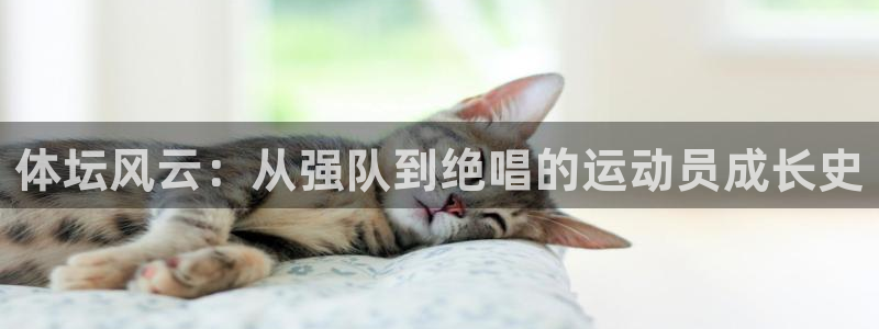 678体育官网：体坛风云：从强队到绝唱的运动员成长史