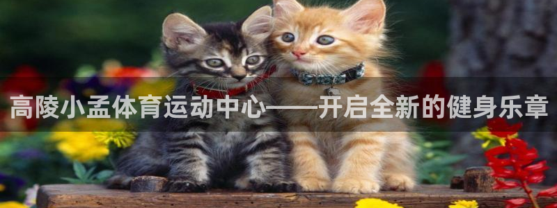 678体育官网地址：高陵小孟体育运动中心——开启全新的健身乐章