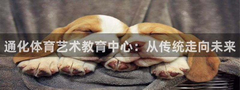 678体育官网