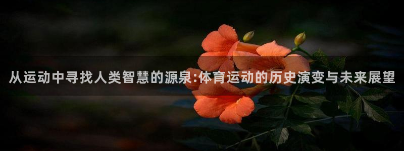 678体育：从运动中寻找人类智慧的源泉:体育运动的历史演变与未来展望