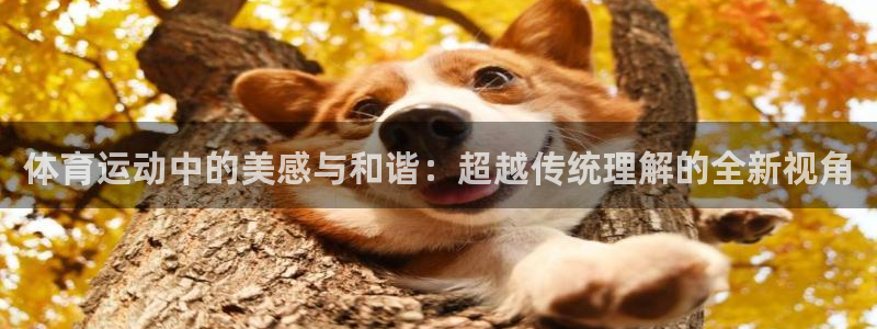 678体育官网地址：体育运动中的美感与和谐：超越传统理解的全新视角