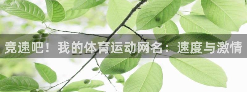 678体育app：竞速吧！我的体育运动网名：速度与激情