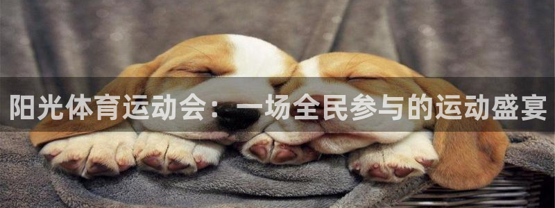 678体育知识